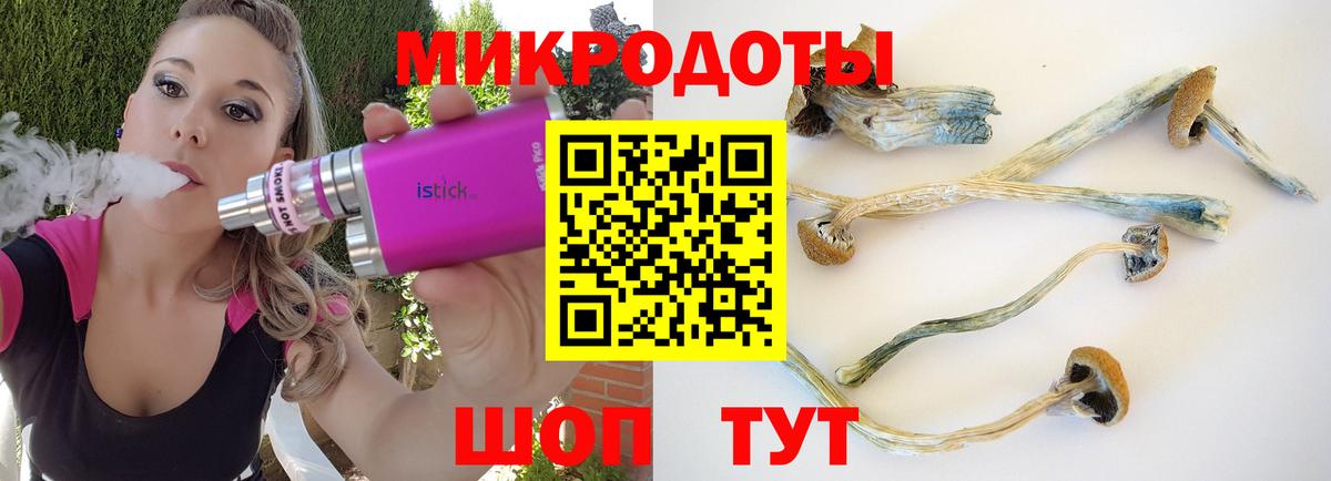 Шумерля  Галлюциногенные грибы мухоморы  Псилоцибиновые грибы Magic Shrooms  Вход с VPN 