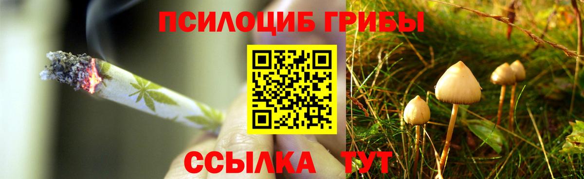 Галлюциногенные грибы Magic Shrooms Шумерля
